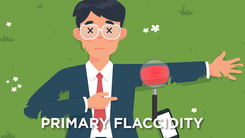 primary_flaccidity