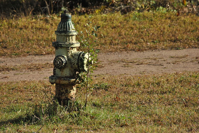 Fake_Fire_Hydrants