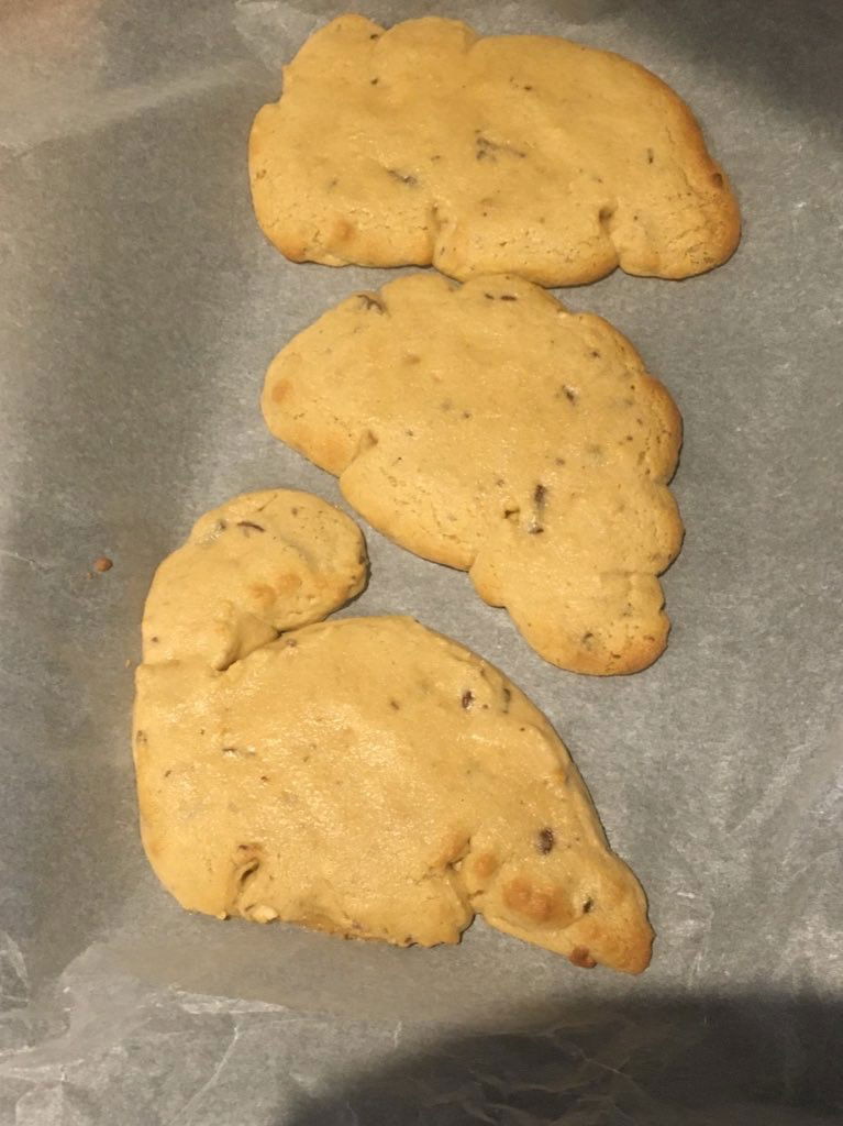 dino_cookie_disaster