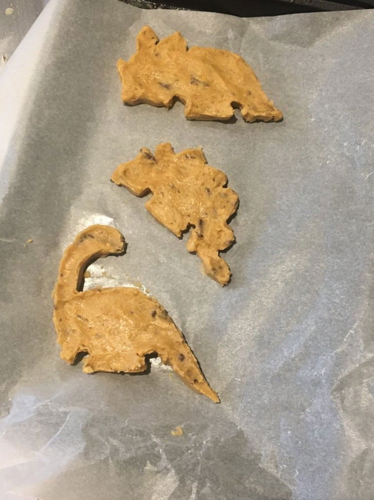 Dino_Cookie