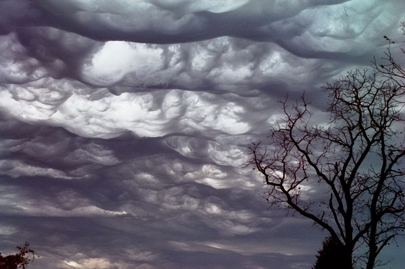 Undulatus_Asperitas