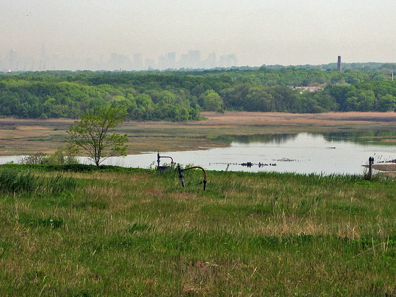 view_over_Freshkills_Park