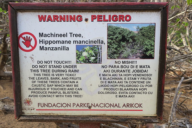 Warning_sign_for_the_Manchineel_tree