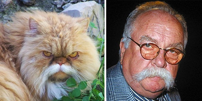 Wilford_Brimley_