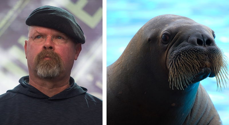 Jamie_Hyneman_