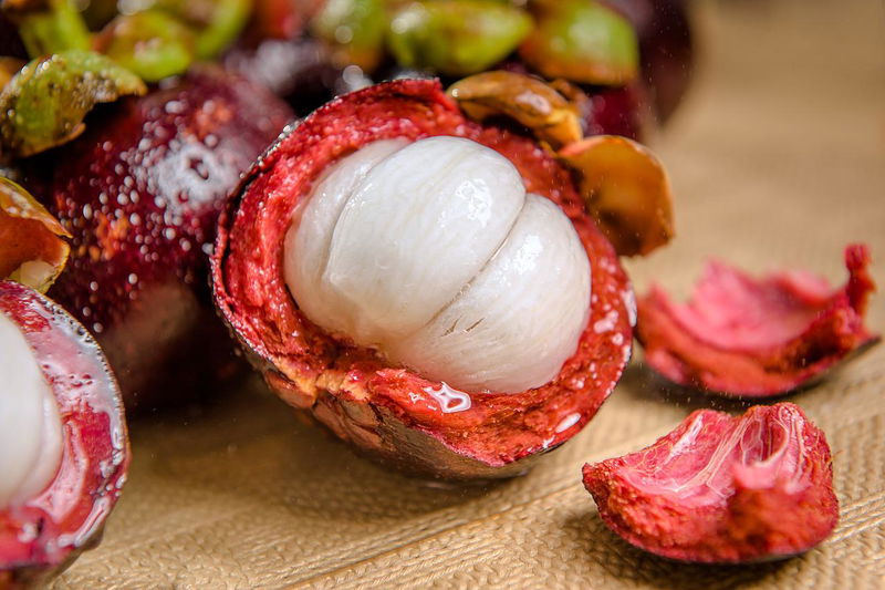 MANGOSTEEN