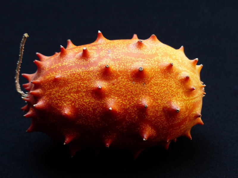 Kiwano_1