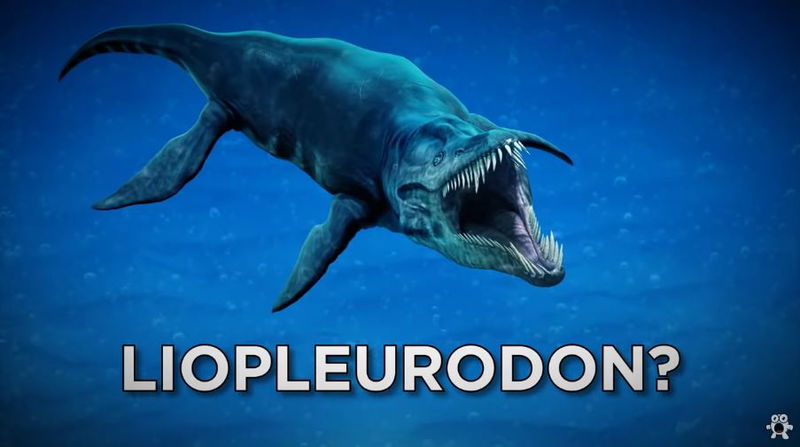 Liopleurodon