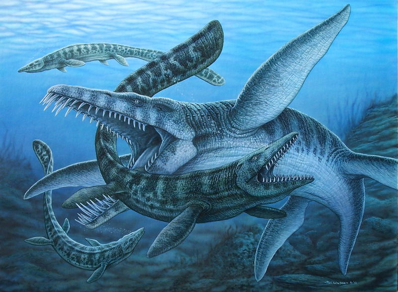 Liopleurodon_1