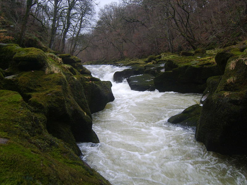 1._The_Strid