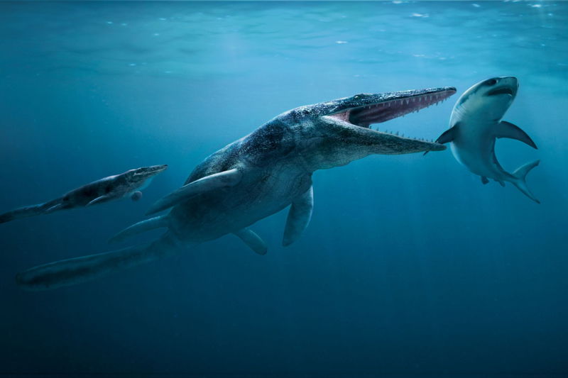 7._Tylosaurus