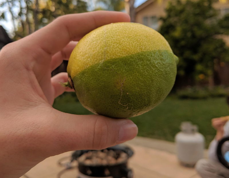 Lemon_LimeHybrid