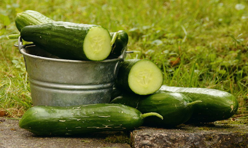 3._Cucumber_2