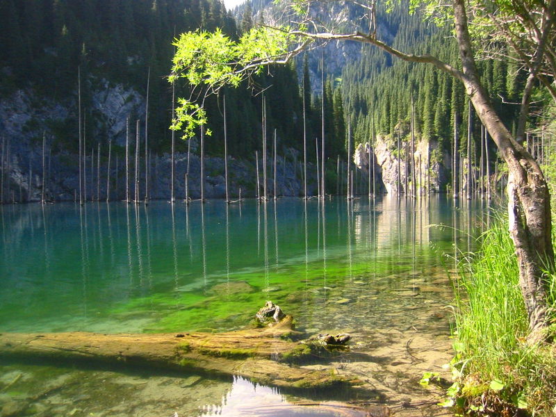 Horrifyingly Mysterious Lakes Dead Lake Kaindy lake