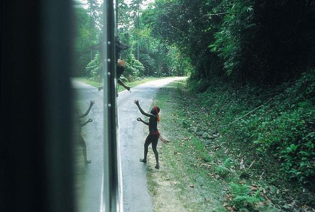 Jarawa_Human_Safari