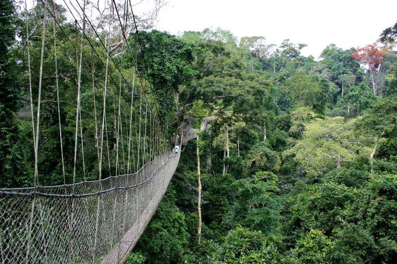 18__Canopy_Walk__Ghana