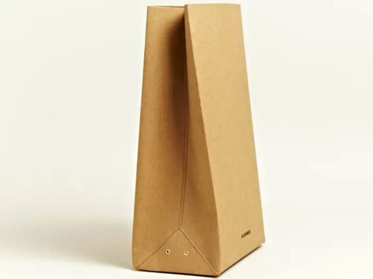 Designer_paper_bag