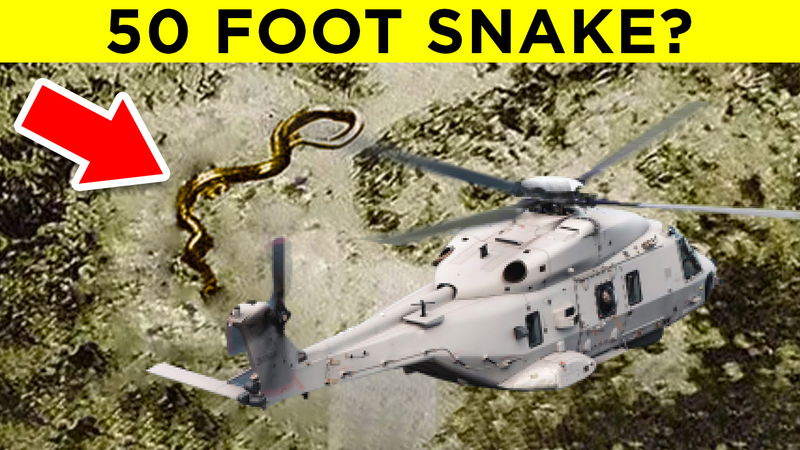 50_foot_snake