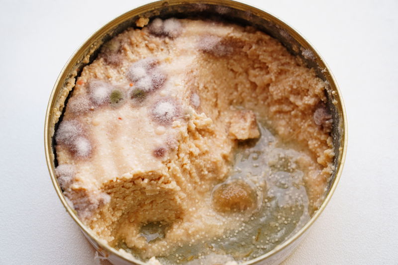 rotten_canned_food