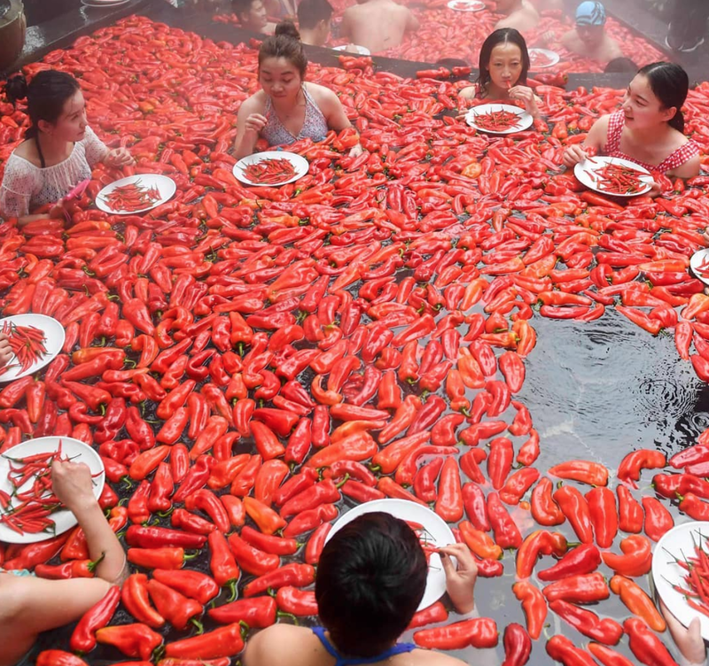 Chilli_contestants_from_Jiangxi