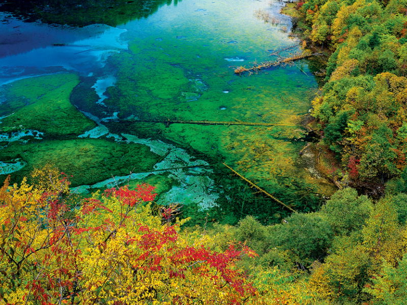 9._Jiuzhaigou_Valley_Lakes_