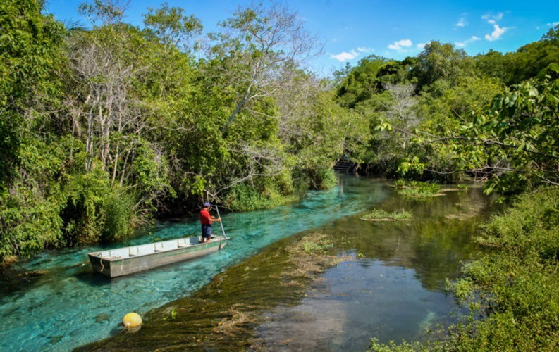 4.Rio_Sucuri__Brazil._jpg