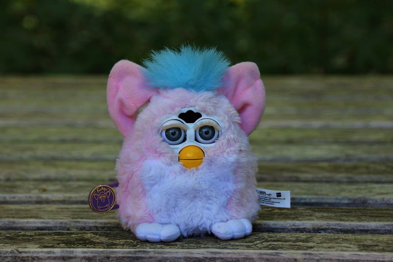 6._Furbys