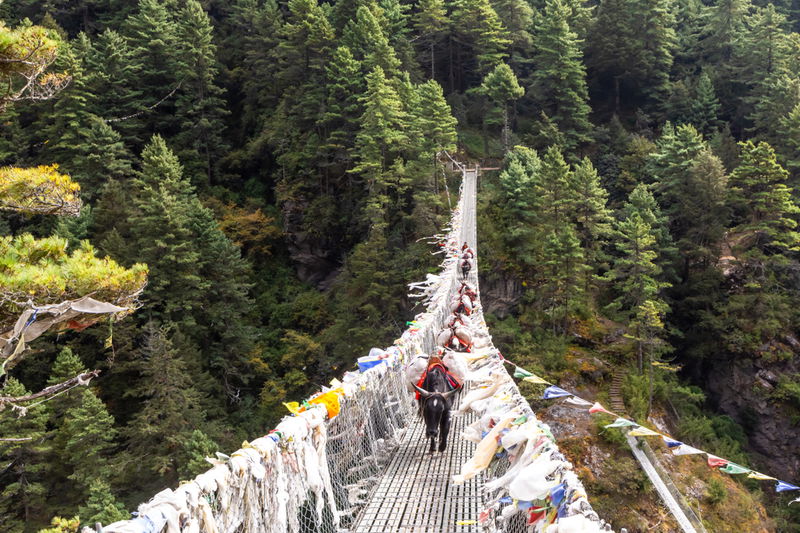 hanging_bridge_of_ghasa