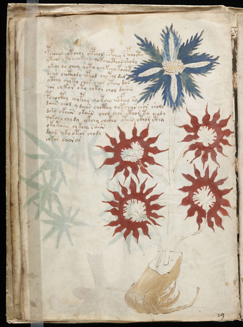 Voynich_Manuscript