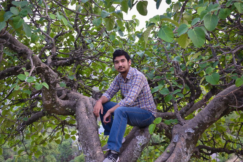 guy_sitting_on_tree