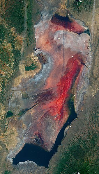 Lake_Natron__Tanzania______2017-03-06__very_early_in_rainy_season______satellite_image__cropped_