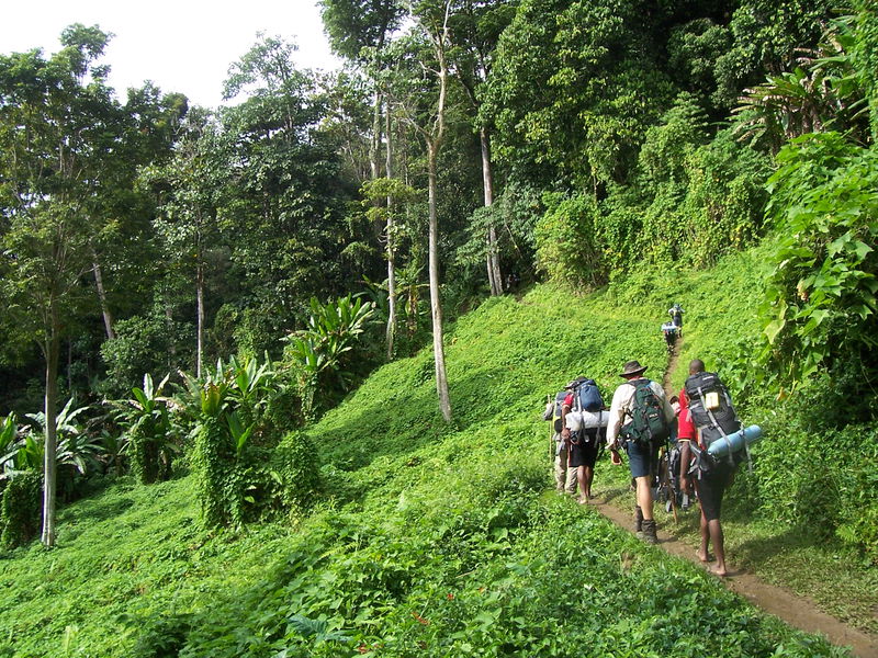 Kokoda_track_Papua_New_Guinea