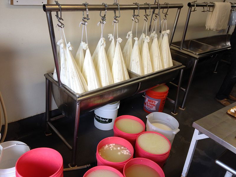 800px-Hanging_curds_and_whey_in_buckets