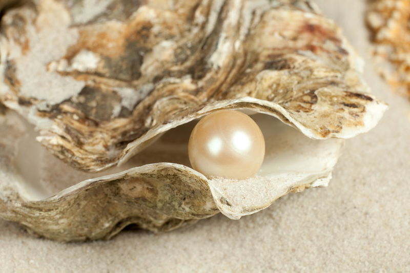 Preposterously_Pricey_Pearls