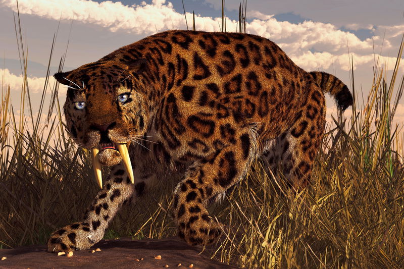 saber-toothed_tiger