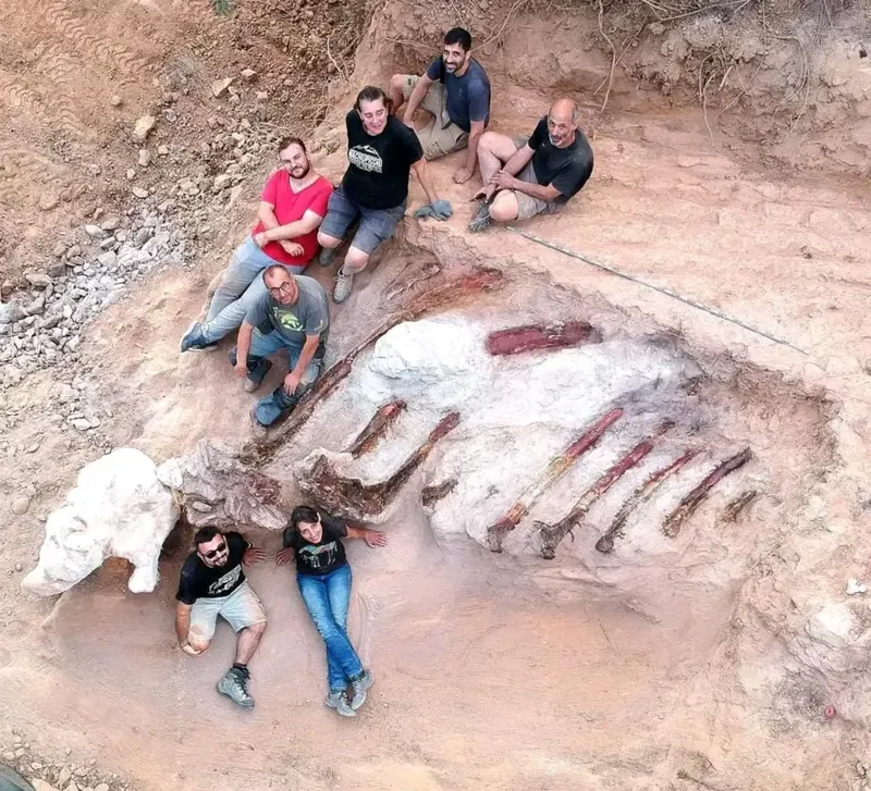 dinosaur_remains_in_portugal