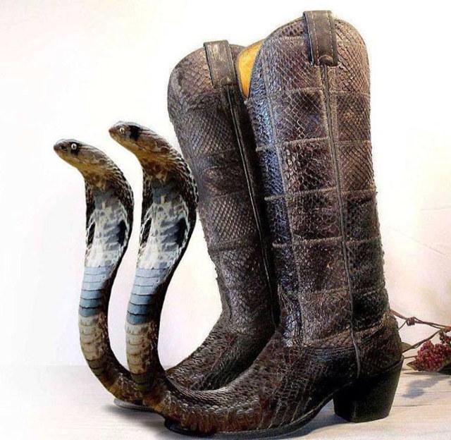 Cobra_Boots