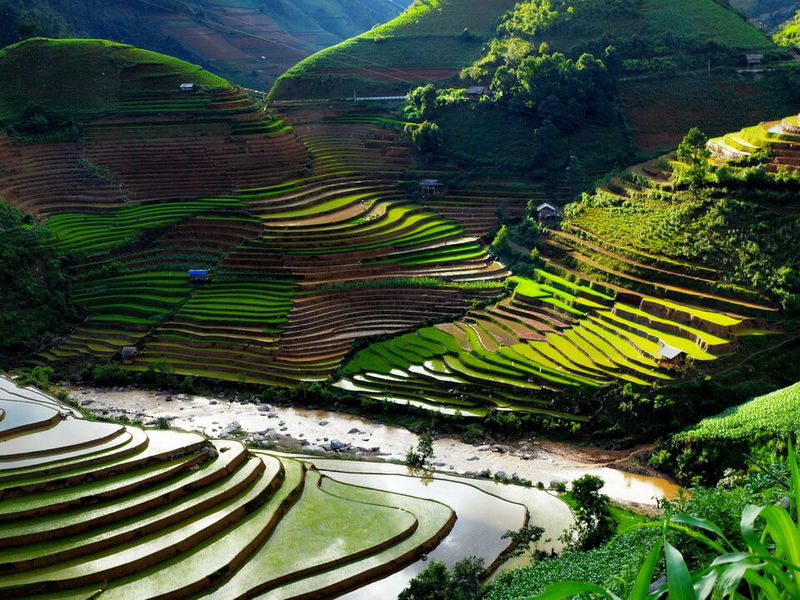 7._Mu_Cang_Paddy_Fields_