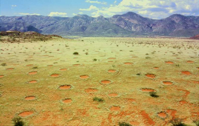 5.__Fairy_Circles_