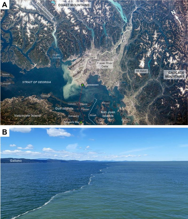 Fraser-River-plume-in-the-Strait-of-Georgia-A-View-from-the-International-Space