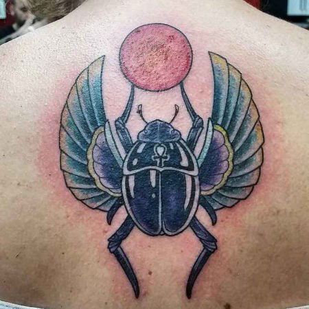 Cat_s_Scarab_Beetles