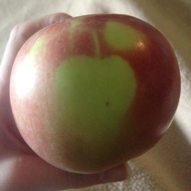 Impressionist_Apple