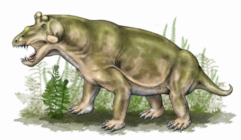 Estemmenosuchus_uralensis