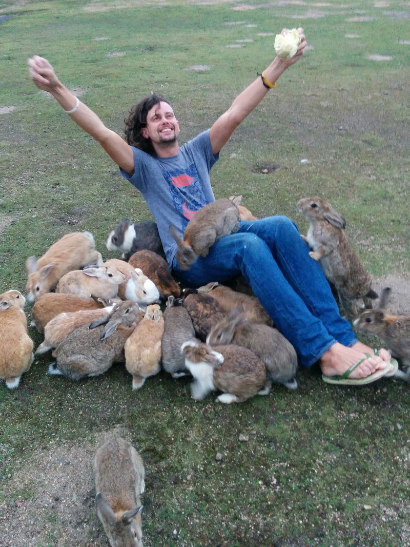 Bunnies_jump_on_a_man_in_8Ckunoshima_island-2C_Japan