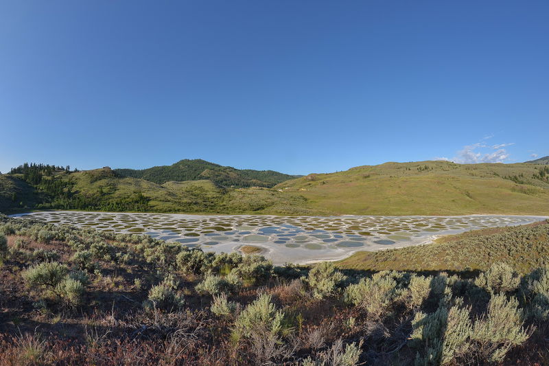 Spotted Lake