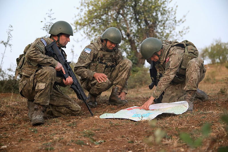 Turkish Coy in NATO Forces