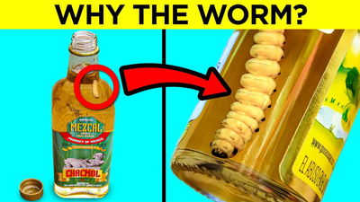 Reasons Behind Strange Things You See In Food & Drinks