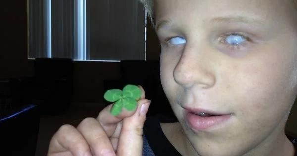 blind boy found a four leaf clover