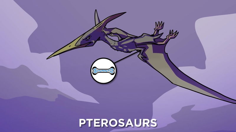 Pterosaurs