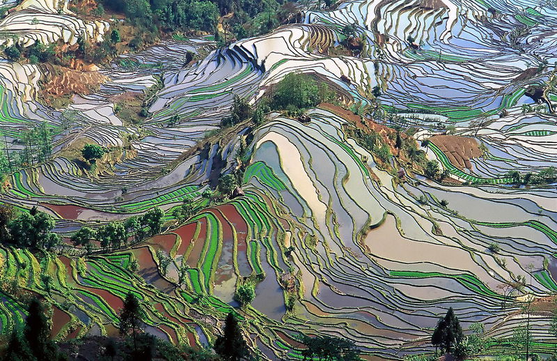 Honghe Hani Rice Terraces China